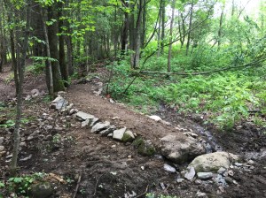 Un trottoir de roches et une rigole pour drainer l'eau.  Belle job!