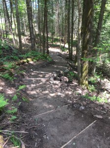 Voici le travail  lorsque le sentier est sec.