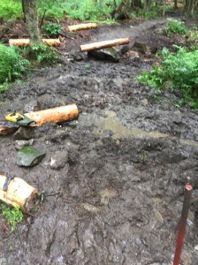 Voici un exemple du terrain avec lequel nous devons composer!  Un belle grosse section qui est constamment en boue et qui ne se draine pas.