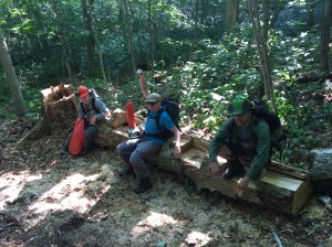 Matthew, Francis et Nickolas sur le merveilleux banc baptisé "Le banc de Cléopatre"!  Une gracieusté de Nickolas!