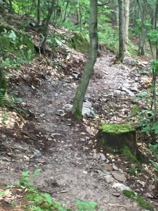 Une très belle section du sentier à même le flanc de la montagne.  Y'a pas à dire, un "benchcut" ça remet de bonne humeur!  On est tous très fier du résultat!