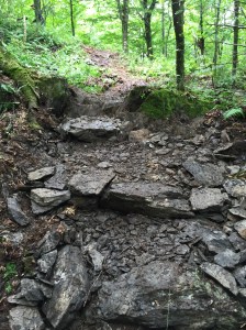 Définitivement, Rocky porte bien son nom!  Les roches, ça le connaît!  Voici son oeuvre: un super bel escalier en roches!  Un élément de signature pour le sentier, c'est sûr!