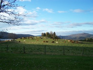 East Hereford, 7h du matin en octobre. Le froid pique le bout du nez. La montagne attend ses amis qui construise des sentiers.