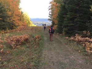 Hi! Ho!  Nous rentrons du boulot!  Pas pire le paysage!