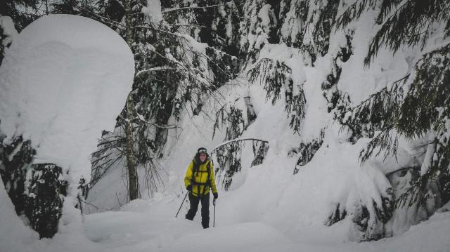 93523915_257515385424278_937313364663599104_n